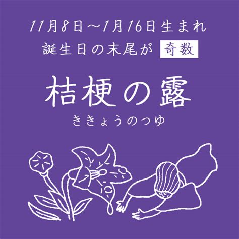 11月26日生日|11月26日